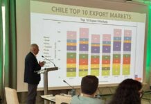 IKO 2025: Frutas de Chile y Comité del Kiwi participan en gran evento de la industria mundial del kiwi