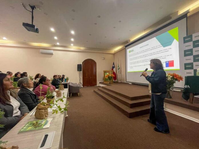 INIA Intihuasi concluye exitosamente proyecto de Huertas Urbanas