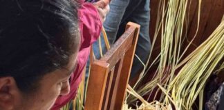 Integrantes del Programa de Desarrollo Territorial Indígena de INDAP Tirúa se capacitaron en cestería en ñocha