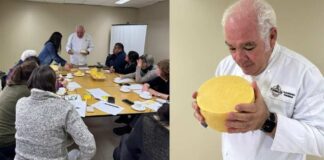 Invitan a queseros de la zona sur a inscribirse y concursar en el Encuentro Quesos en el Nuevo Mundo