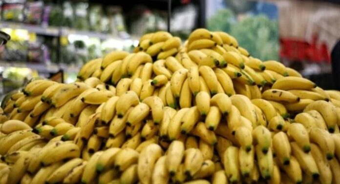 La Asociación de Bananeros de Colombia estará en la Fruit Attraction Madrid de 2025 La Asociación de Bananeros de Colombia estará en la Fruit Attraction Madrid de 2025