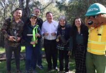 La Municipalidad de Talca avanza junto a CONAF y FAO en la restauración de su Bosque Municipal con especies nativas