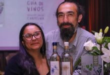 Lanzan la primera guía de vinos del Valle del Itata para abrir nuevas rutas de enoturismo y comercio
