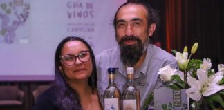 Lanzan la primera guía de vinos del Valle del Itata para abrir nuevas rutas de enoturismo y comercio