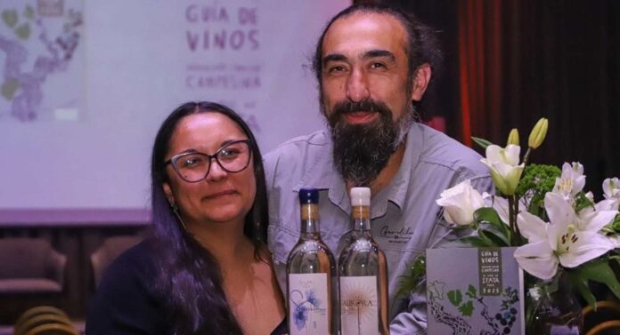 Lanzan la primera guía de vinos del Valle del Itata para abrir nuevas rutas de enoturismo y comercio