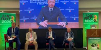 Las grandes novedades de Macfrut 2026 una feria más grande, más internacional, más innovadora