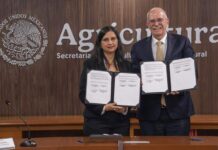 México y Chile fortalecen cooperación agroalimentaria con acuerdos en sanidad, ciencia y comercio justo México y Chile fortalecen cooperación agroalimentaria con acuerdos en sanidad, ciencia y comercio justo