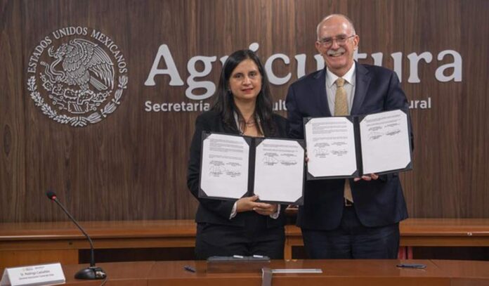 México y Chile fortalecen cooperación agroalimentaria con acuerdos en sanidad, ciencia y comercio justo México y Chile fortalecen cooperación agroalimentaria con acuerdos en sanidad, ciencia y comercio justo