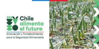 Minagri y BID invitan a participar en el seminario “Avances y desafíos de la Gestión de Riesgo de Desastres en el sector silvoagropecuario chileno”
