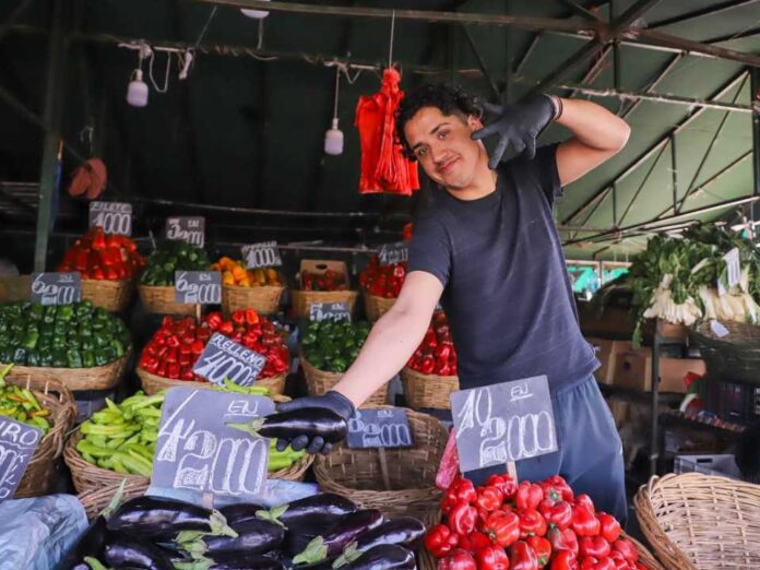 Ministra de Agricultura reforzó el llamado a cotizar precios de los alimentos a solo horas del comienzo de fiestas patrias Ministra de Agricultura reforzó el llamado a cotizar precios de los alimentos a solo horas del comienzo de fiestas patrias