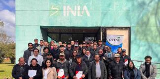 Ovejas que impulsan futuro: Ñuble cierra programa que fortaleció la ganadería ovina