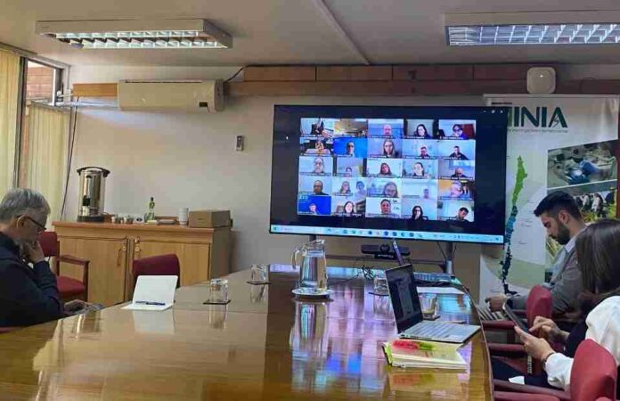 PROCISUR lanza proyecto digital e INIA Chile apuesta por integrar a pequeños productores de arándanos de la Región del Maule