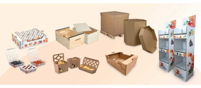 Packaging sostenible para el sector hortofrutícola DS Smith, una empresa de International Paper, presentará en Fruit Attraction sus soluciones de packaging sostenible para el sector hortofrutícola