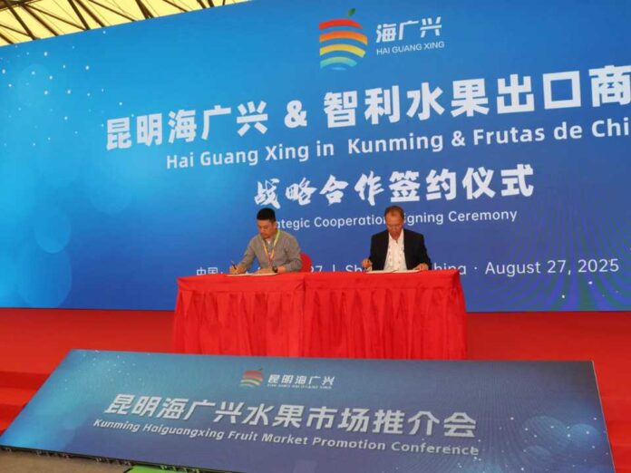 Para potenciar la presencia de las frutas chilenas en el sudeste de China: Frutas de Chile firma MoU con el mercado mayorista de Kunming Haiguangxing