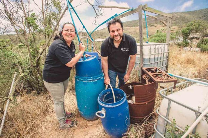 Pareja chilena será reconocida por Bukele y mostrará en la COP30 su modelo de granja autosustentable Pareja chilena será reconocida por Bukele y mostrará en la COP30 su modelo de granja autosustentable