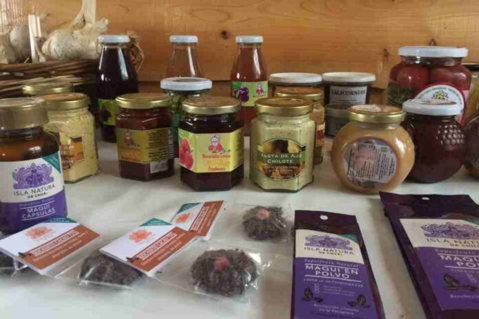 Patrimonio Agrícola Mundial SIPAM Evaluación en terreno sistemas agrícolas en Chile en el marco de la postulación a SIPAM