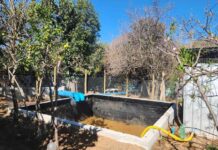 Pequeños agricultores de Salamanca aumentarán la rentabilidad de sus cultivos gracias a proyecto de riego integral bonificado por la CNR Pequeños agricultores de Salamanca aumentarán la rentabilidad de sus cultivos gracias a proyecto de riego integral bonificado por la CNR