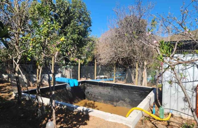 Pequeños agricultores de Salamanca aumentarán la rentabilidad de sus cultivos gracias a proyecto de riego integral bonificado por la CNR (1) Pequeños agricultores de Salamanca aumentarán la rentabilidad de sus cultivos gracias a proyecto de riego integral bonificado por la CNR