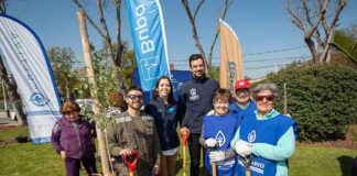 Plan de arborización urbana de Maipú avanza con la plantación de 130 árboles