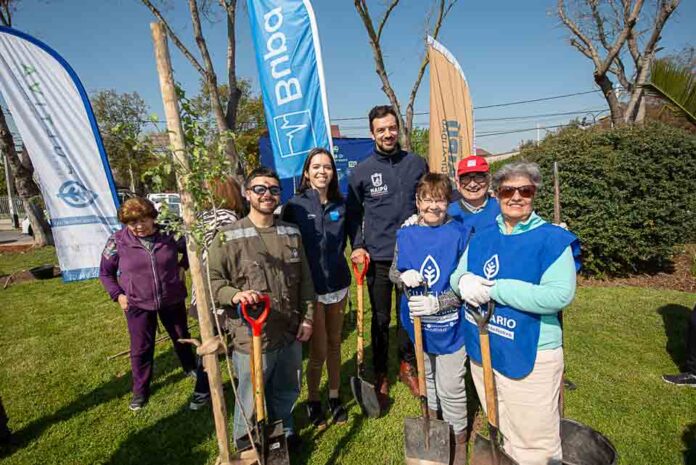 Plan de arborización urbana de Maipú avanza con la plantación de 130 árboles Plan de arborización urbana de Maipú avanza con la plantación de 130 árboles