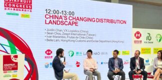 Presidente de Frutas de Chile analiza el desafío logístico de la fruta fresca en China