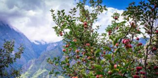 Project InnerSpace anuncia proyecto de almacenamiento en frío geotérmico en India bajo un programa de financiación