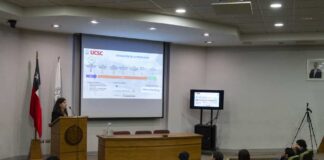 Proyecto buscó dar nuevo valor agregado a podas de vides