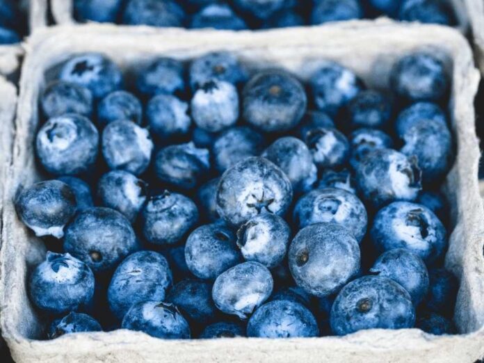 Recubrimientos comestibles para frutas INIA La Platina publica nueva ficha técnica Recubrimientos comestibles para frutas: INIA La Platina publica nueva ficha técnica