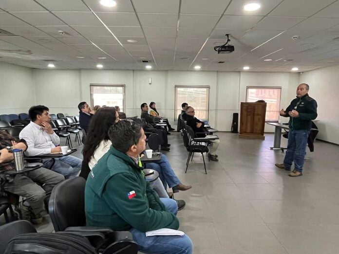 SAG Biobío presenta Convenio de Inspección Fitosanitaria a representantes de empresas exportadoras de frutas