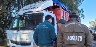 SAG Ñuble refuerza llamado a prevenir el abigeato