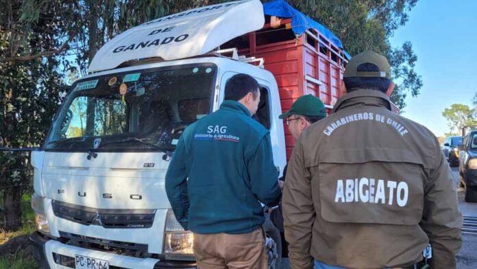 SAG Ñuble refuerza llamado a prevenir el abigeato SAG Ñuble refuerza llamado a prevenir el abigeato