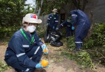 SAG aplica riguroso protocolo de erradicación para resguardar la condición de país libre de Mosca de la Fruta SAG aplica riguroso protocolo de erradicación para resguardar la condición de país libre de Mosca de la Fruta