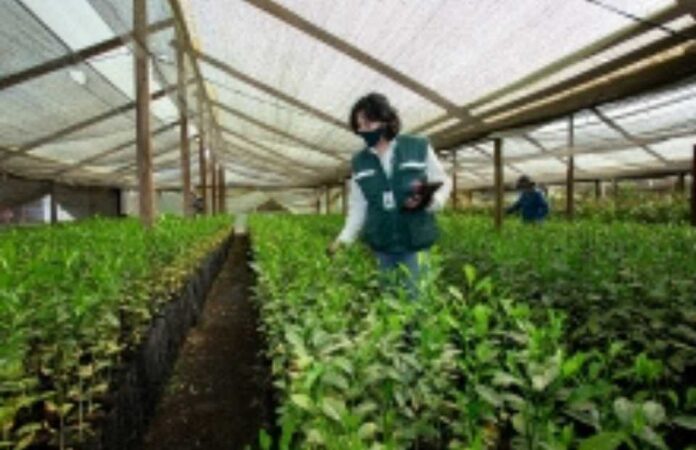 SAG lanza reporte fitosanitario interactivo para cítricos y vides SAG lanza reporte fitosanitario interactivo para cítricos y vides