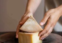 Santiago será la capital mundial del queso: Encuentro «Quesos en el Nuevo Mundo» tendrá un jurado de excelencia Santiago será la capital mundial del queso