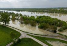 Siniestros agrícolas por eventos climáticos extremos han aumentado progresivamente y el cultivo más afectado en 2025 es la papa de guarda Siniestros agrícolas por eventos climáticos extremos han aumentado progresivamente y el cultivo más afectado en 2025 es la papa de guarda