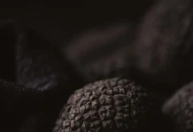 Trufas Araucanía consolida su expansión internacional con innovadores productos gourmet Trufas Araucanía consolida su expansión internacional con innovadores productos gourmet