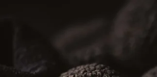 Trufas Araucanía consolida su expansión internacional con innovadores productos gourmet