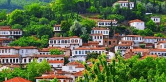 Turquía mercado emergente en la industria global del arándano