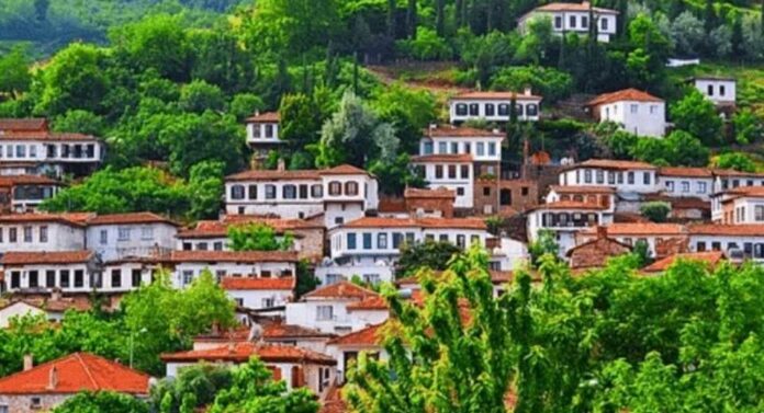 Turquía mercado emergente en la industria global del arándano Turquía mercado emergente en la industria global del arándano