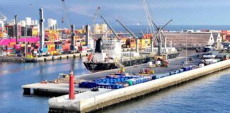 Un ingrediente natural para reducir las emisiones y mejorar la salud del ganado