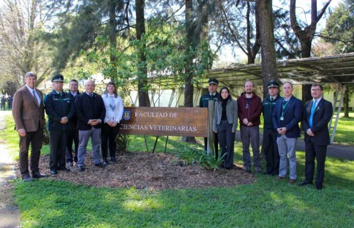 Universidad de Concepción amplía proyecto que busca fortalecer la reinserción a la sociedad de personas privadas de libertad