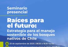 Valdivia será sede de encuentro clave para el futuro del bosque nativo Valdivia será sede de encuentro clave para el futuro del bosque nativo