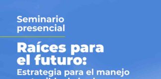 Valdivia será sede de encuentro clave para el futuro del bosque nativo