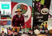 Viñateros del Biobío invitan a vivir Fiestas Patrias con degustaciones y tours por sus viñedos Viñateros del Biobío invitan a vivir Fiestas Patrias con degustaciones y tours por sus viñedos