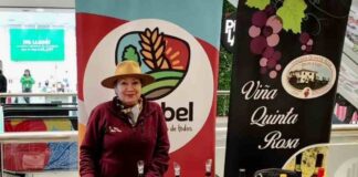 Viñateros del Biobío invitan a vivir Fiestas Patrias con degustaciones y tours por sus viñedos