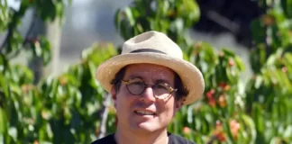 Ovalle espera duplicar su producción de cerezas y abrirse paso en China en octubre