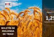 INE Biobío publica cifras de molienda de trigo correspondiente a agosto de 2025