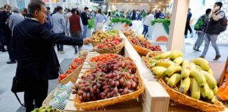 BBVA lleva a Fruit Attraction una propuesta diferencial para apoyar al sector agro
