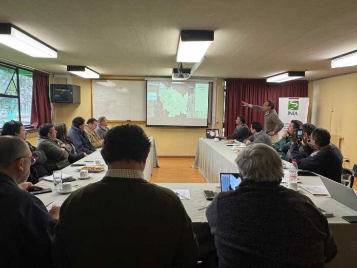 panaderos se integran a la mesa del trigo de ñuble y fortalecen la coordinación de la cadena triguera