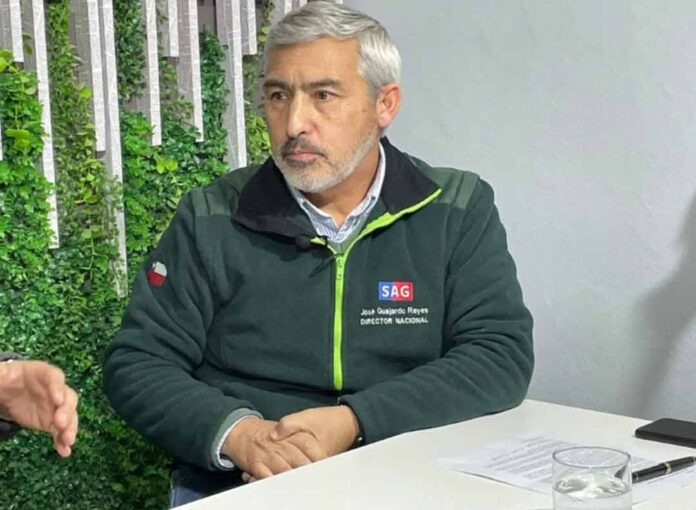 Director del SAG informa que Chile mantiene bajo control la mosca de la fruta